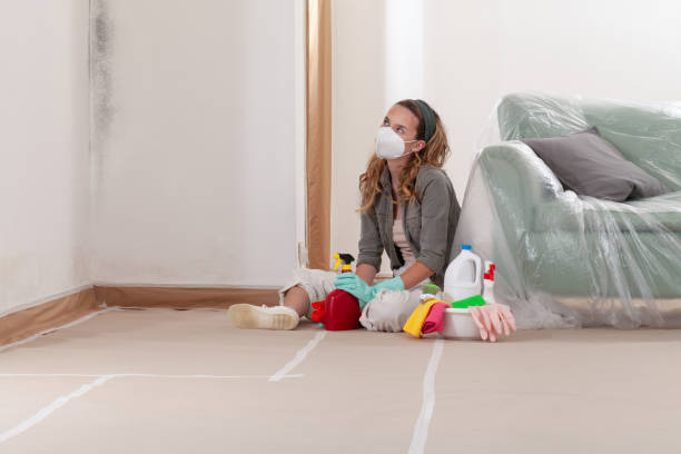 Reliable Mold Cleanup contractor in Naperville, IL by WQB Mold Removal